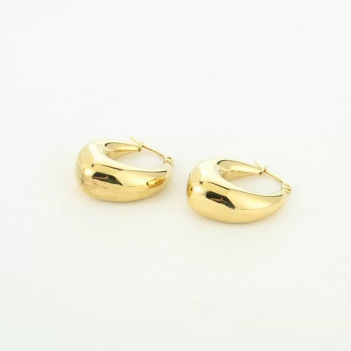 Oorbel 15583 Goud