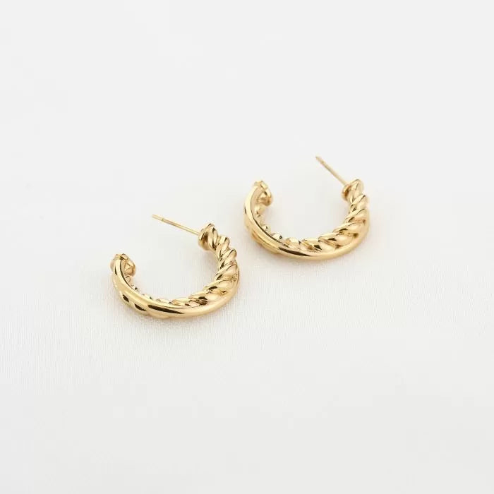 Oorbel 14482 Goud