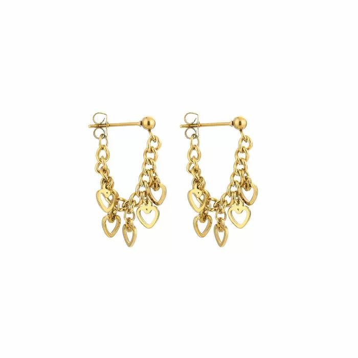 Oorbel 14560 Goud
